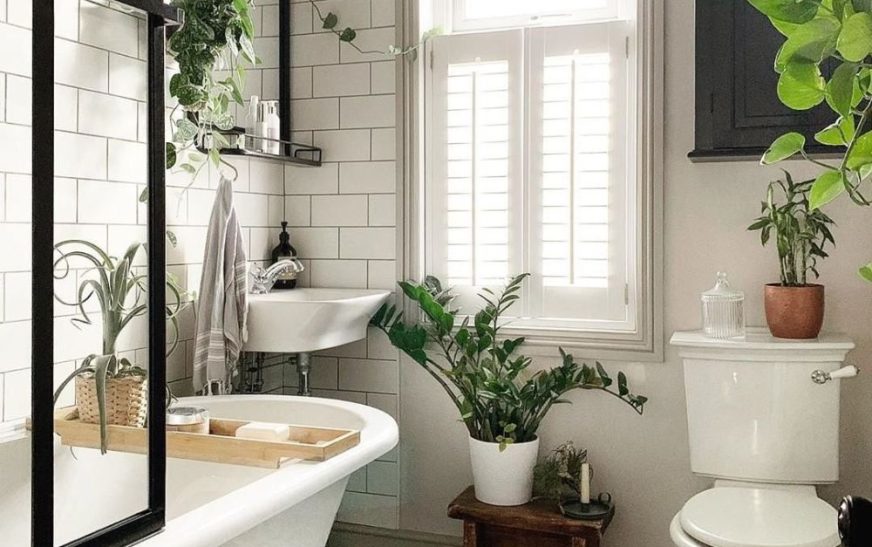 Banyo Dekorasyonunda Bitki ve Yeşillik Kullanımı